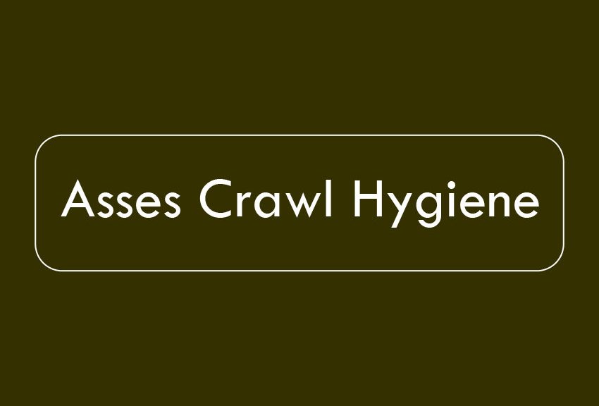 Crawl Hygiene